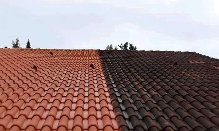 Nettoyage pour la longévité de votre toit.